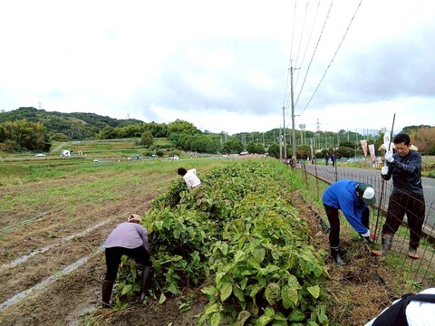 LINE_ALBUM_20251019_251019_1