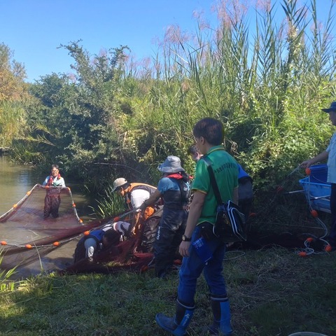 462832891_576835038109222_2633869732498460276_n