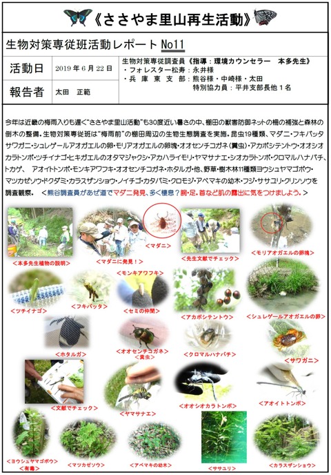 図1
