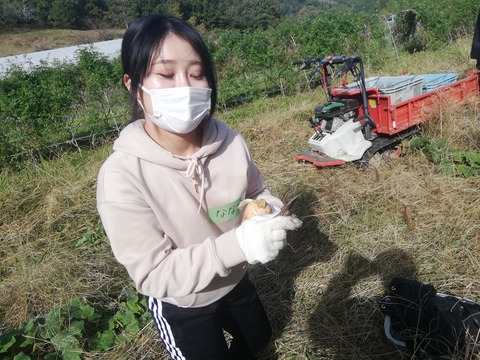 IMG_20211106_103706_pfiWTC