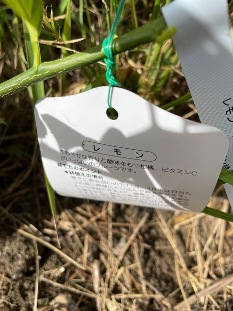 LINE_ALBUM_20220920_220920_7