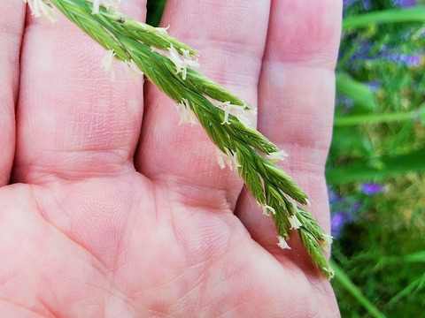 60360431_2358348837775196_5274698002492030976_o