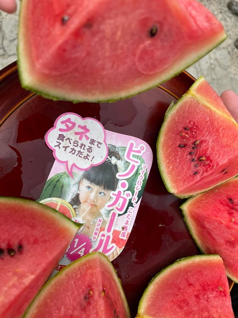 300754437_594262178832673_3574858189058626104_n