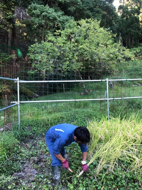 242657003_3123902494601634_4118645047302108421_n