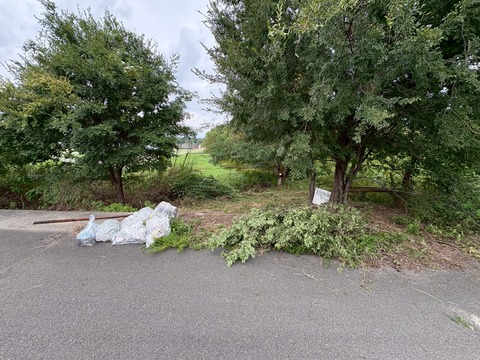 LINE_ALBUM_20250914_250914_21