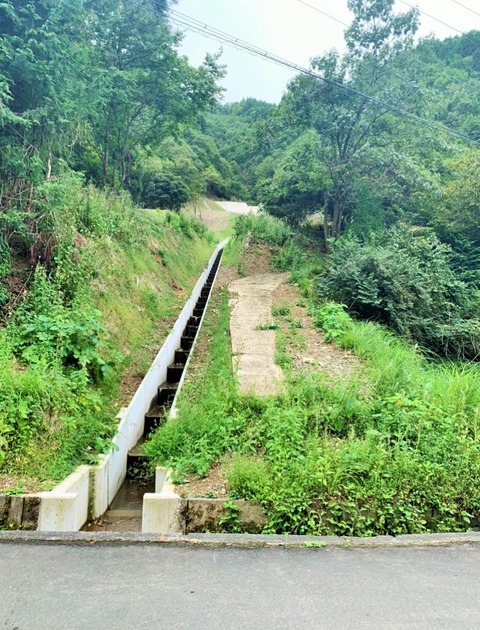 S__48062479