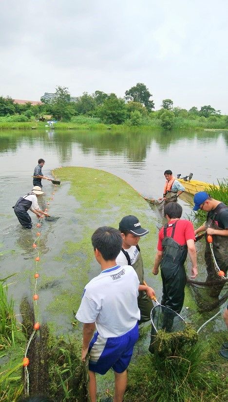 IMG_20190713_121541-1