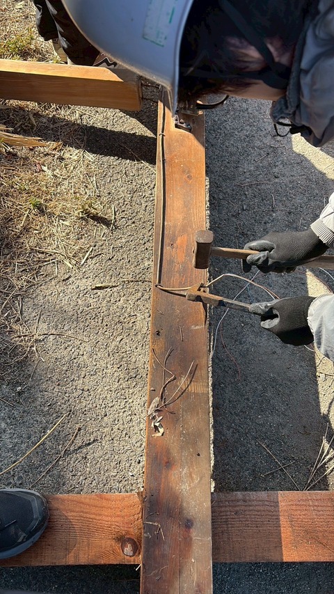 LINE_ALBUM_20260221_260221_14