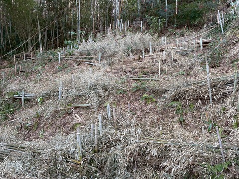 LINE_ALBUM_20260117_260117_6