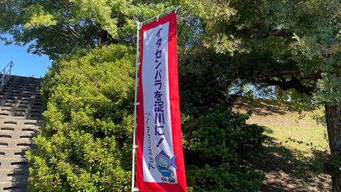 LINE_ALBUM_20241013庭窪_241013_19