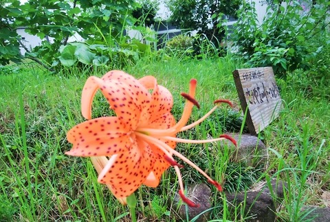 67303693_2405636503046429_6126050916735909888_n