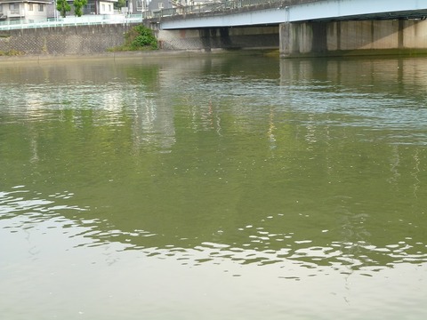 黒瀬川P1030487