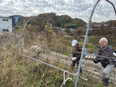 B32BC68A-C7CB-45B3-B6F4-724ACCACA396