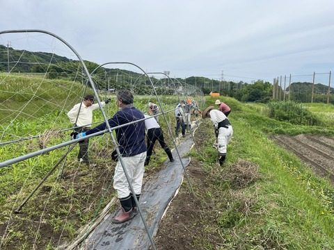 A84C3F95-9116-47A0-BE30-4ED3892101DB