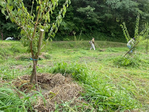 300617063_594262278832663_283367012325548881_n