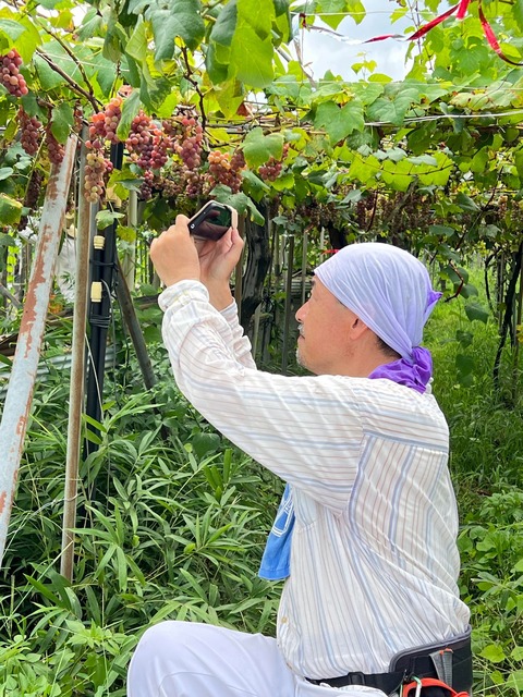 296835184_554937812984800_5359539689778856346_n