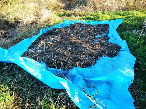 131997550_2879727445637330_4614565095178468428_o