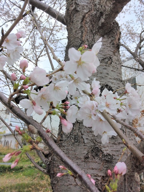 IMG_20230323_091853~2