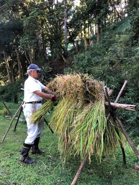 242456070_3123902297934987_5854397747455050644_n