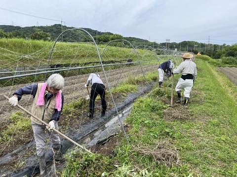 87FF5AF7-5AF0-4A3E-BDEB-7E77968F6635