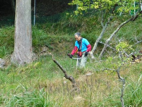 311407646_5613869158692433_4477890490535680584_n