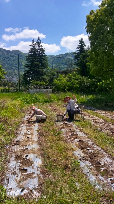 439942265_1575865932993410_238499070432906757_n