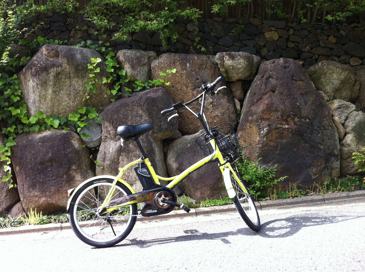 はが 重職 座禅 自転車