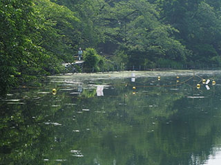ボート規制柵20200605_P6052976