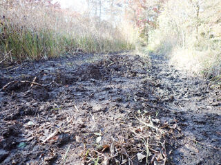 ���겼��゙������