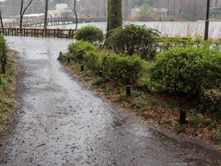 雨の日