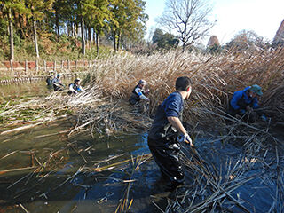 DSCN5486のコピー