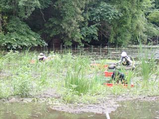 250602������3