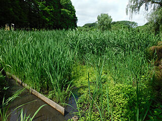 定点250616のコピー