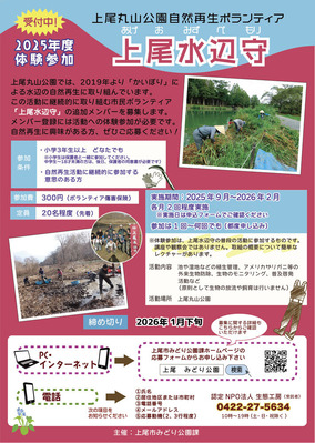 �����ݻ����ռ��゙���罸