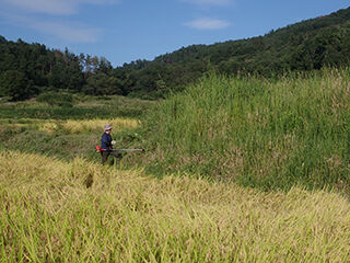 P9171481のコピー