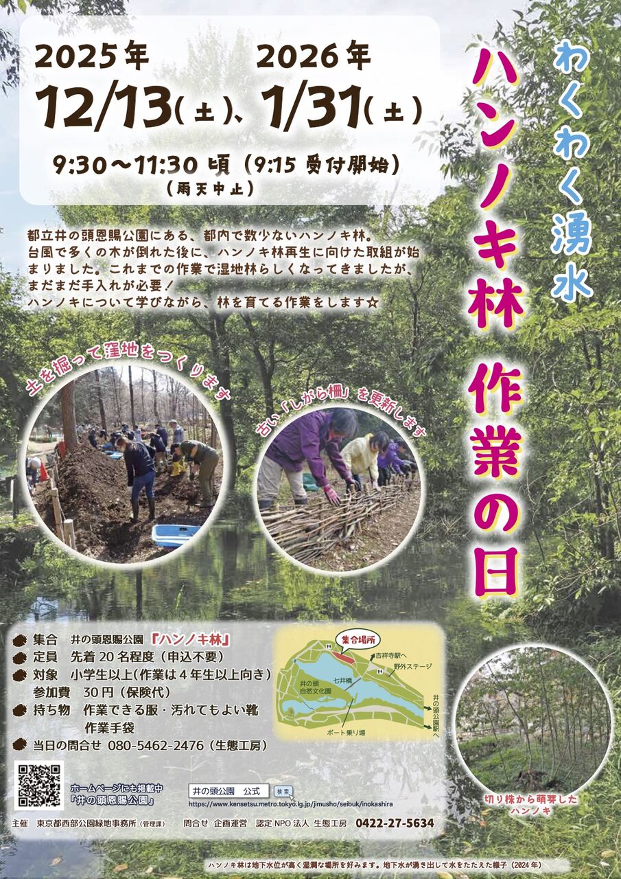 【イベント】わくわく湧水 ハンノキ林作業の日