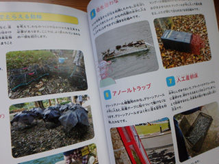 Amazon.com: 外来生物ずかん (見る知る考えるずかん