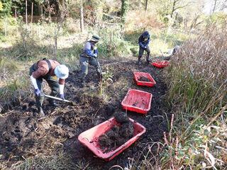 ���ե襷�����겼��゙���20241204