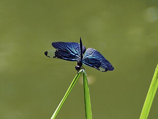 ���祦�ȥ��゙@��������240723