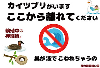 7水鳥掲示