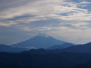 S__53157922