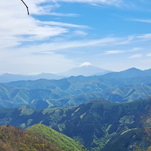 LINE_ALBUM_2023.5.2_230822_1