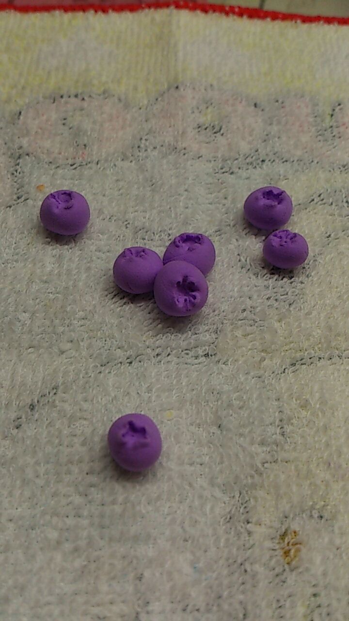 ブルーベリーの作り方 ほのぼのえちょぴた