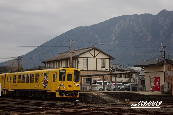 イメージ 5