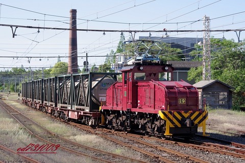 IMGP5975
