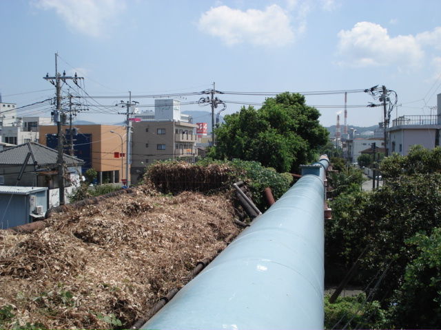 イメージ 4