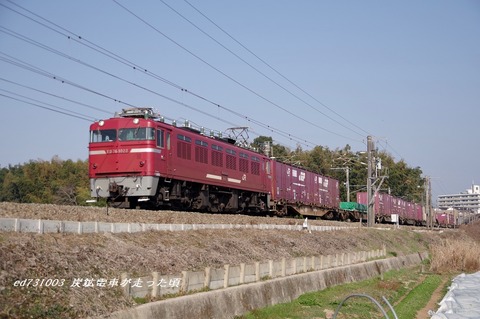 IMGP4058