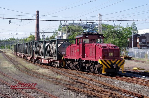 IMGP5976