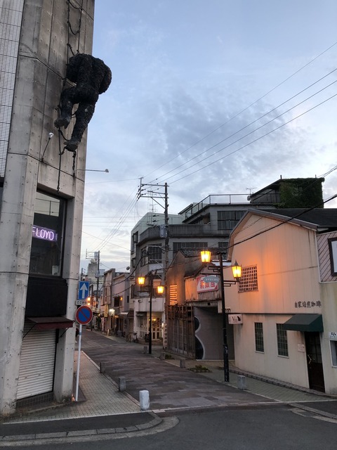 9DD71C5D-DFE6-48B8-8E69-14C122FA62FB