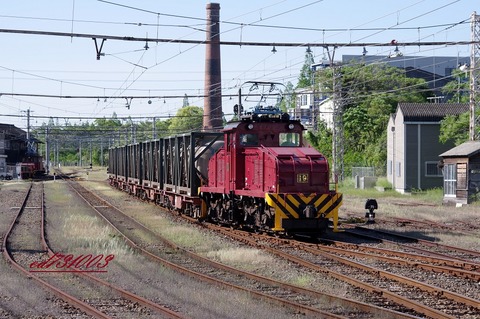 IMGP5964
